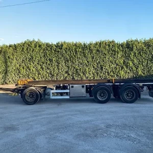 Przyczepa kipper z zawieszeniem pneumatycznym Cardi (Dł.: 9,58 m)