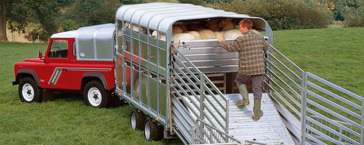 CREATOR: gd-jpeg v1.0 (using IJG JPEG v62), quality = 90